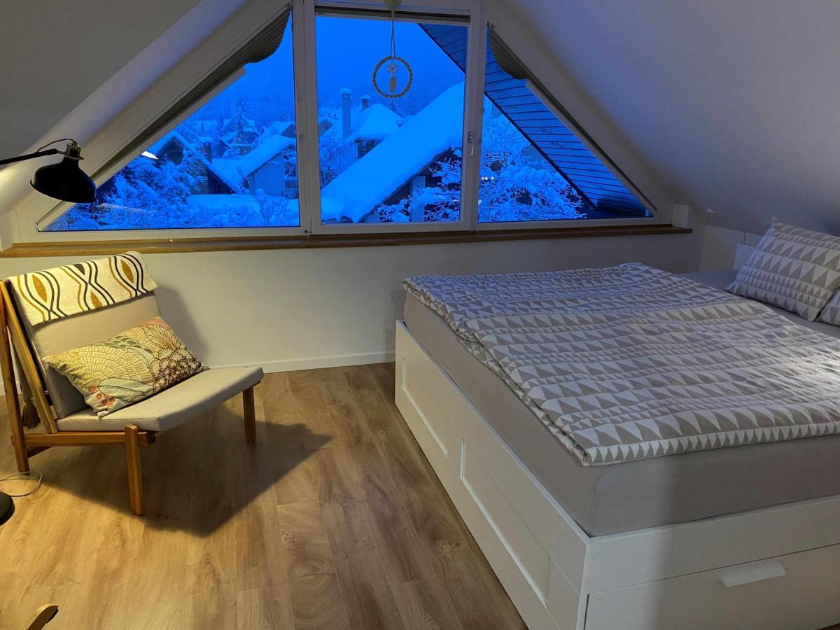 Apartment Zidana Marela - Attic With A View كْرانْيِسكا غورا المظهر الخارجي الصورة