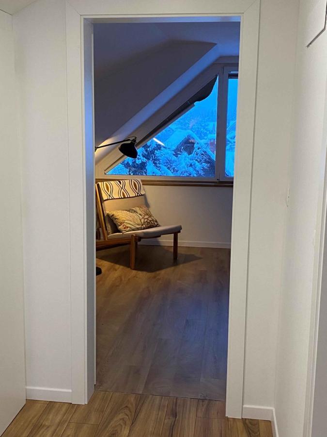 Apartment Zidana Marela - Attic With A View كْرانْيِسكا غورا المظهر الخارجي الصورة