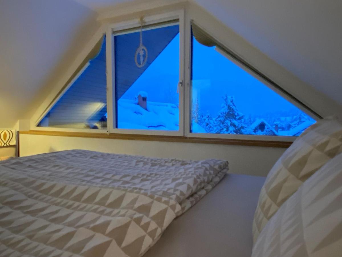 Apartment Zidana Marela - Attic With A View كْرانْيِسكا غورا المظهر الخارجي الصورة